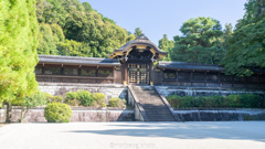 泉涌寺、月輪陵。