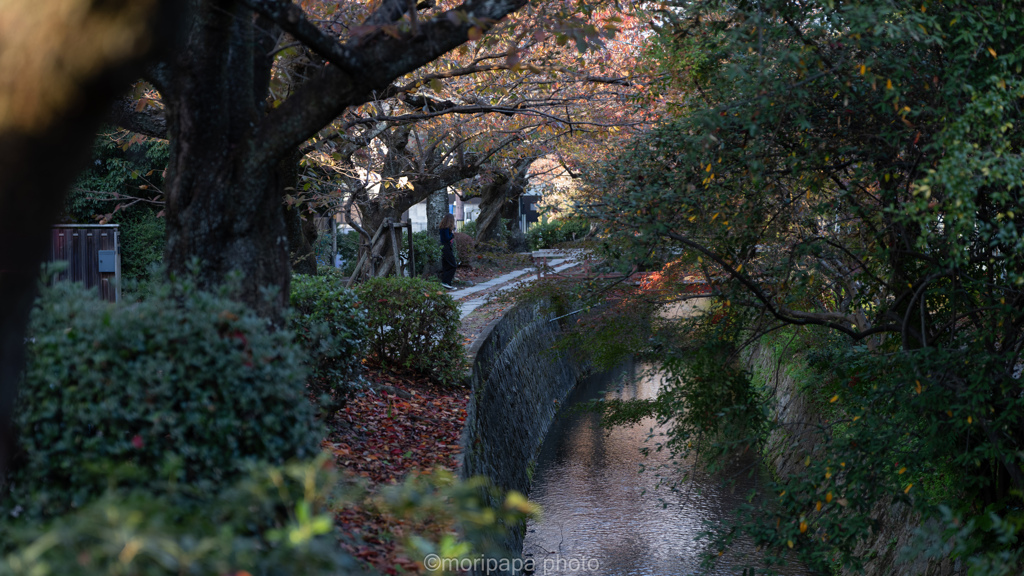 哲学の道、秋。