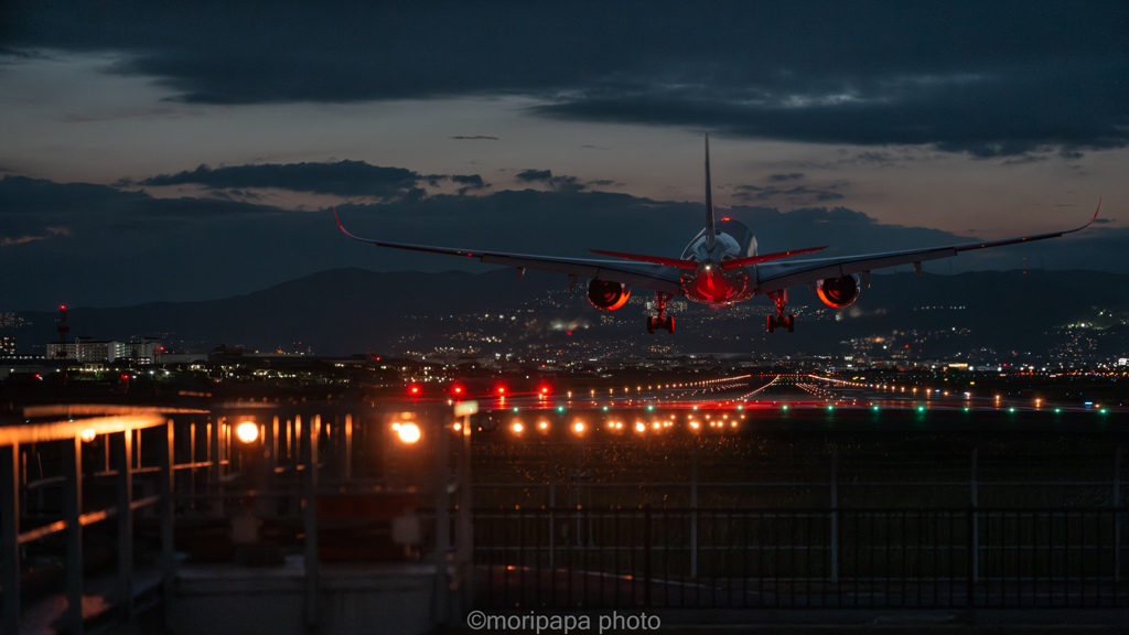A350、夕方の着陸。