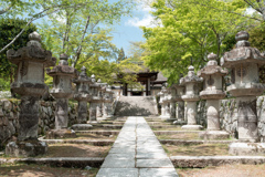 三井寺、唐院。