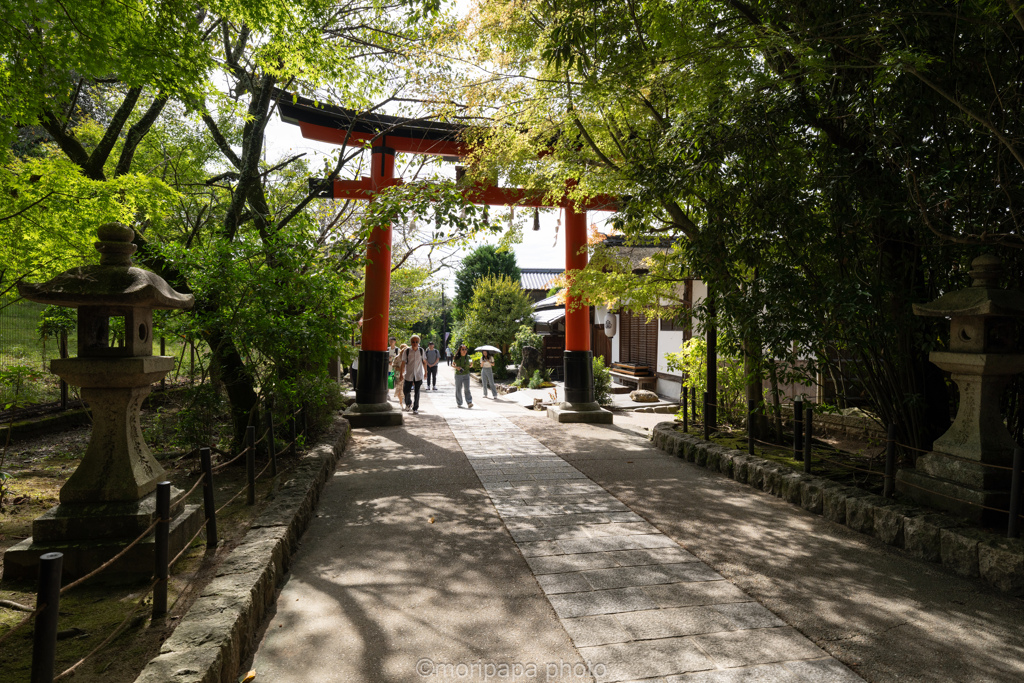 宇治上神社の鳥居。