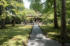 三千院、往生極楽院。