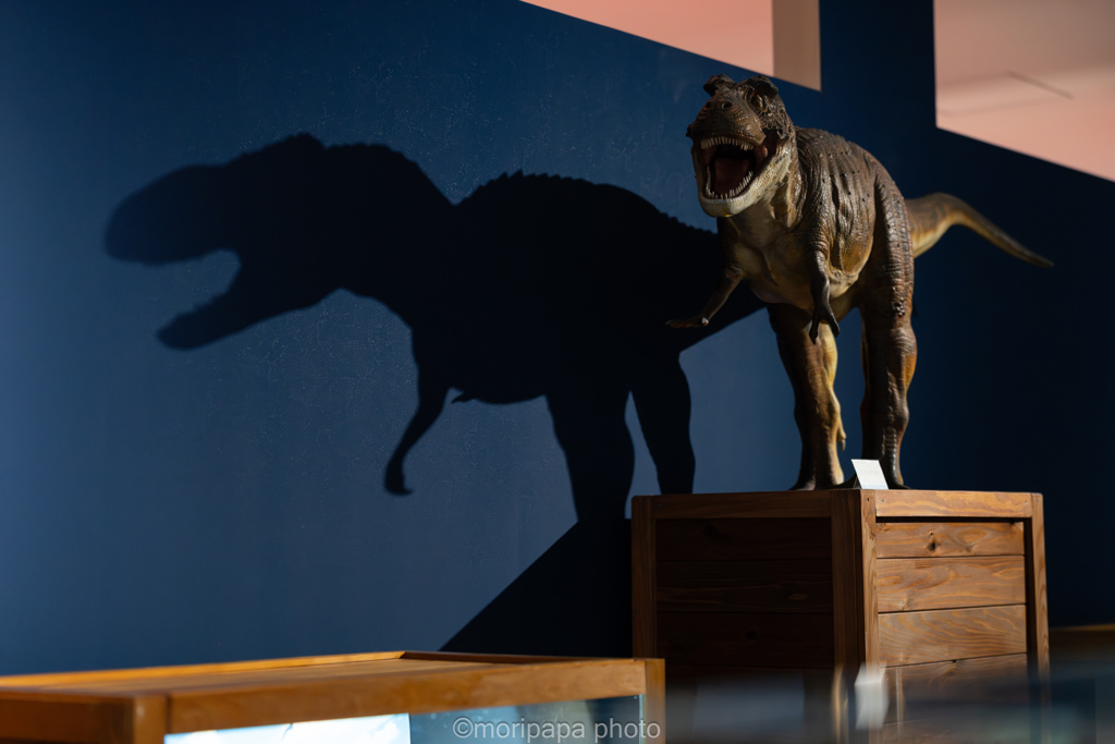 ナイトミュージアム。