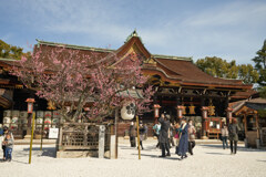 北野天満宮の御本殿。