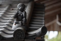 西教寺、身代わりの猿。