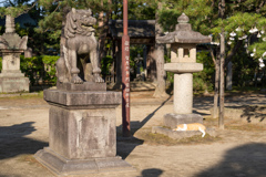 お寺の夕方。