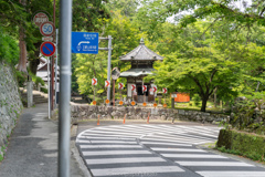 坂本散歩。