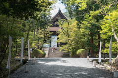 三井寺、金堂。