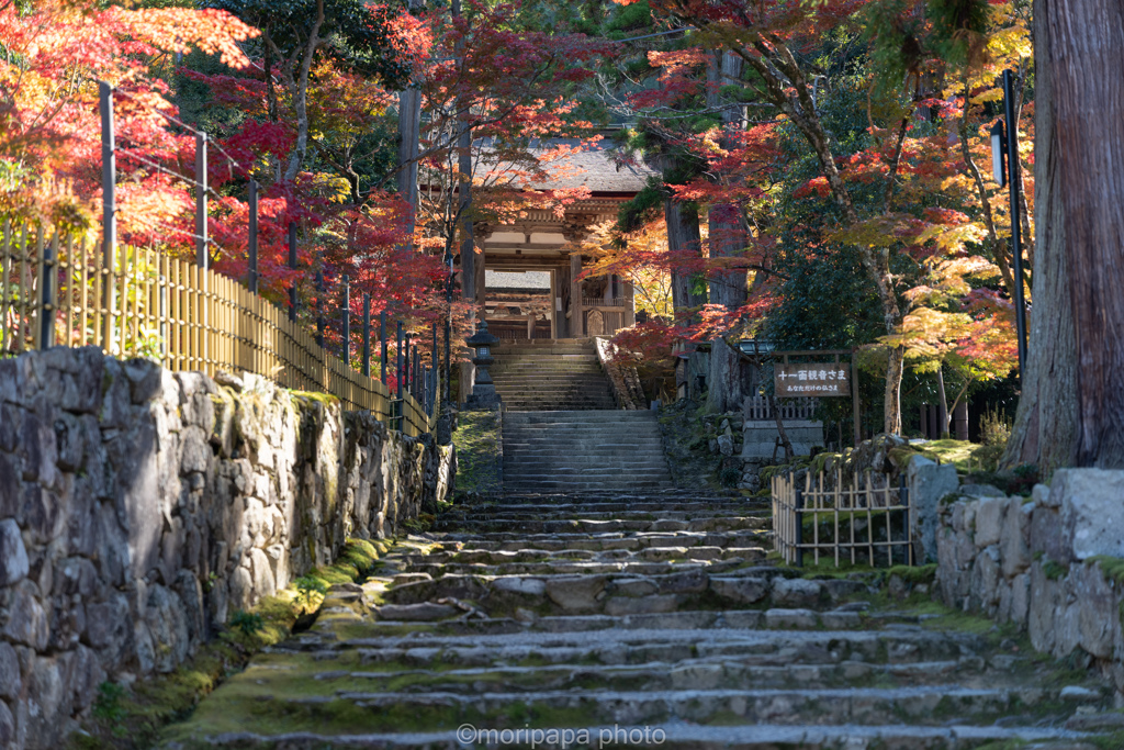 西明寺、二天門。