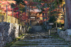 西明寺、二天門。