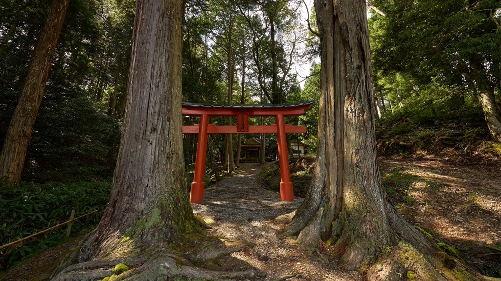 京北の九頭神社。