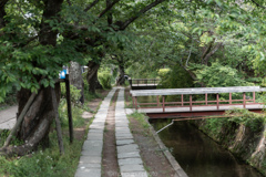 哲学の道散歩2。