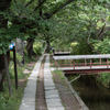 哲学の道散歩2。