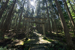 賀茂神社の朝。