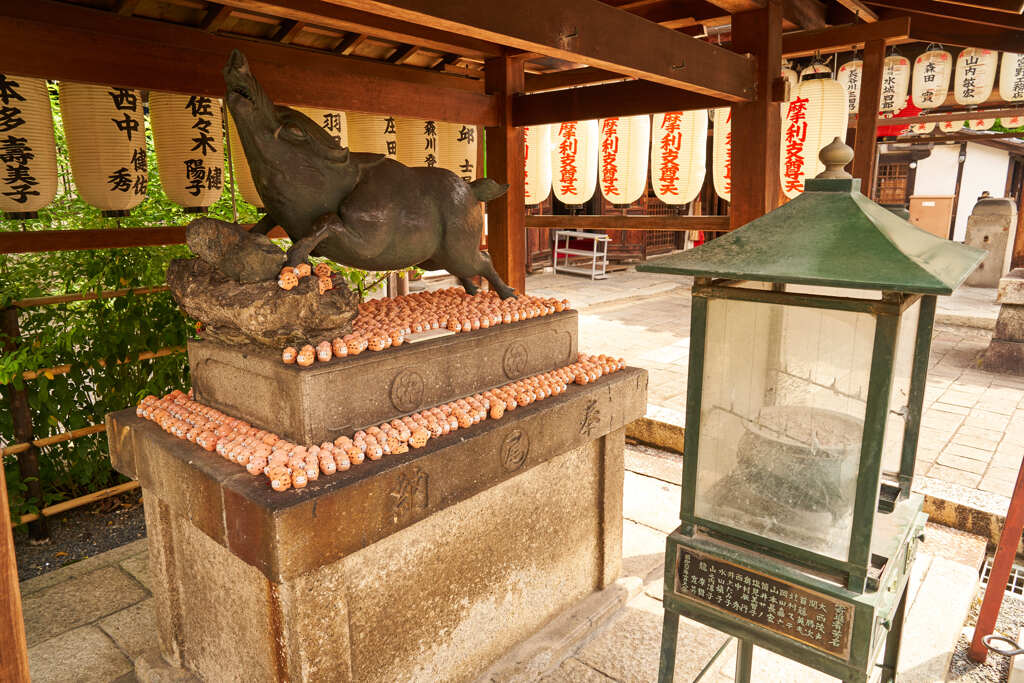 禅居庵のイノシシ。