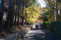東福寺前。