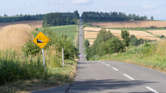 ジェットコースターの路。