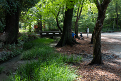 糺の森、瀬見の小川。