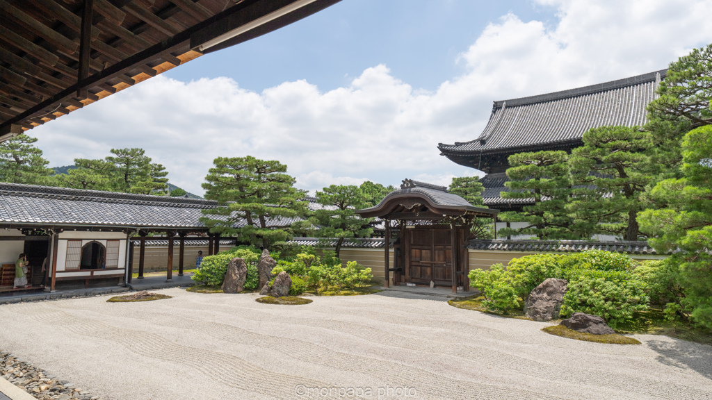 建仁寺お庭拝見。