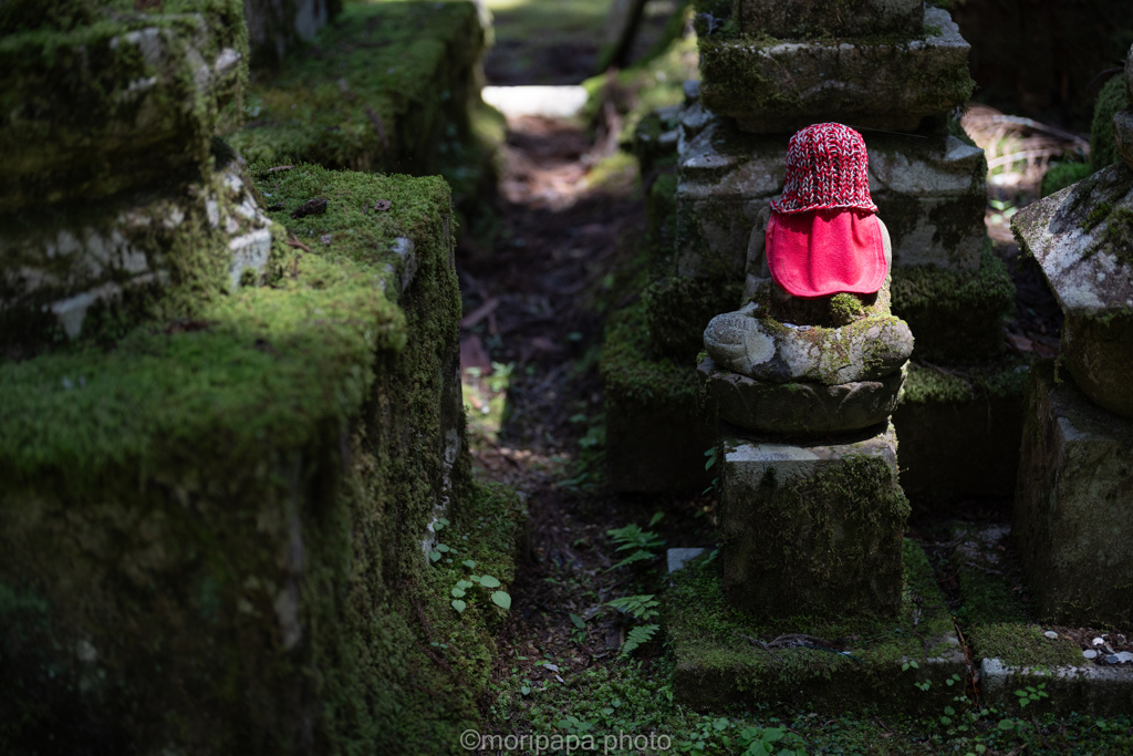 お休みの時間。