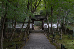 竹寺、地蔵院。