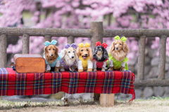 楽しい遠足記念。