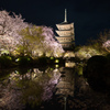 東寺、ライトアップ。