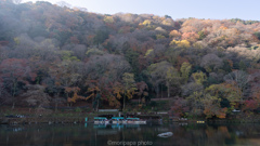 朝の嵐山散歩。