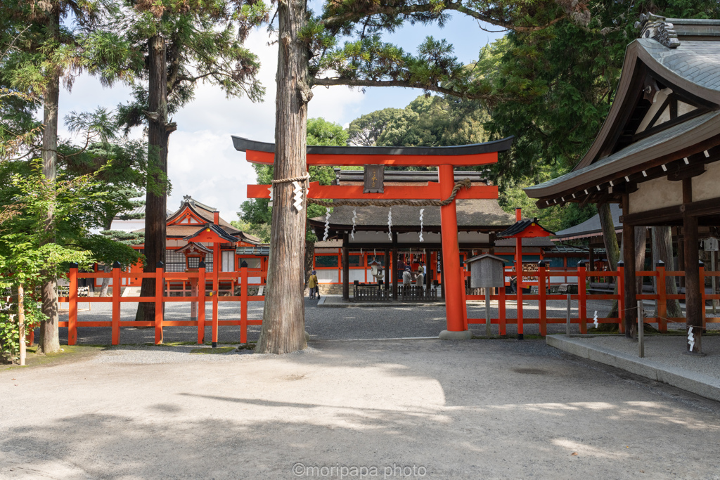 吉田神社。