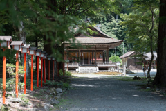 日吉大社、宇佐宮。