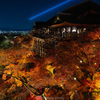 清水寺、秋のライトアップ。