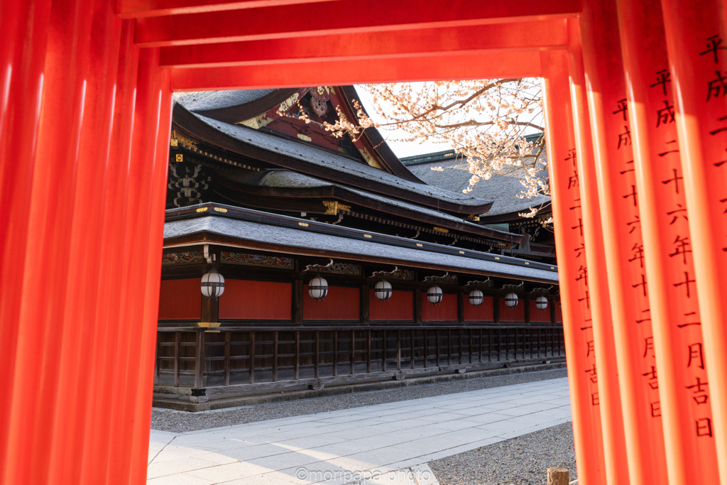 天満宮の鳥居。