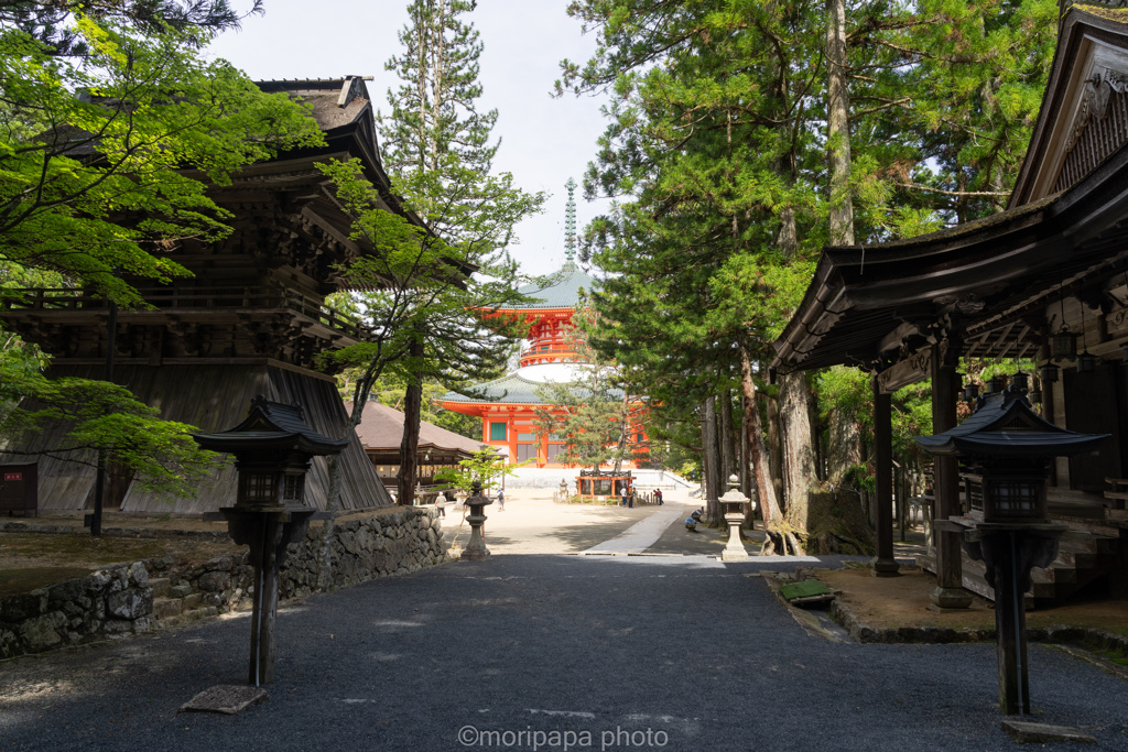 遠くに根本大塔。