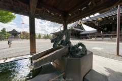 東本願寺、手水屋形(再現像)。