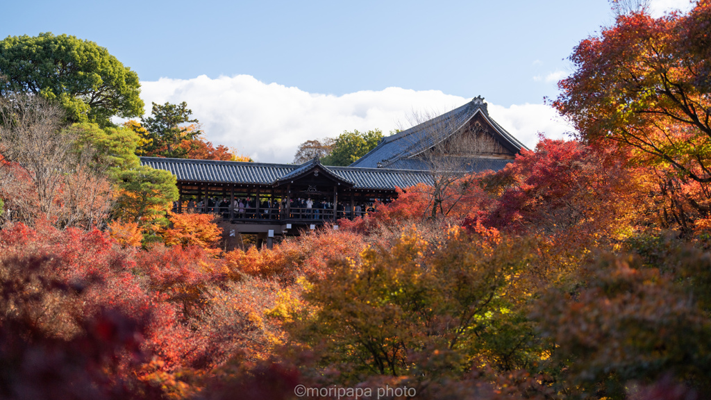 2年前の東福寺。