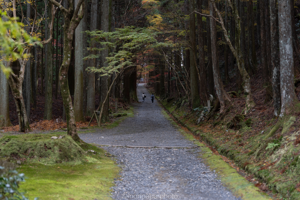 延暦寺の境内。