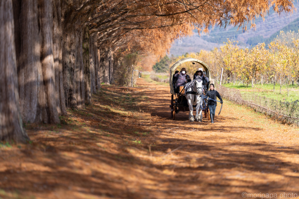 今年もよろしくお願いします。