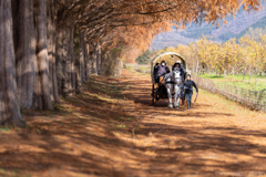 今年もよろしくお願いします。
