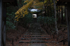 常照皇寺、参道。