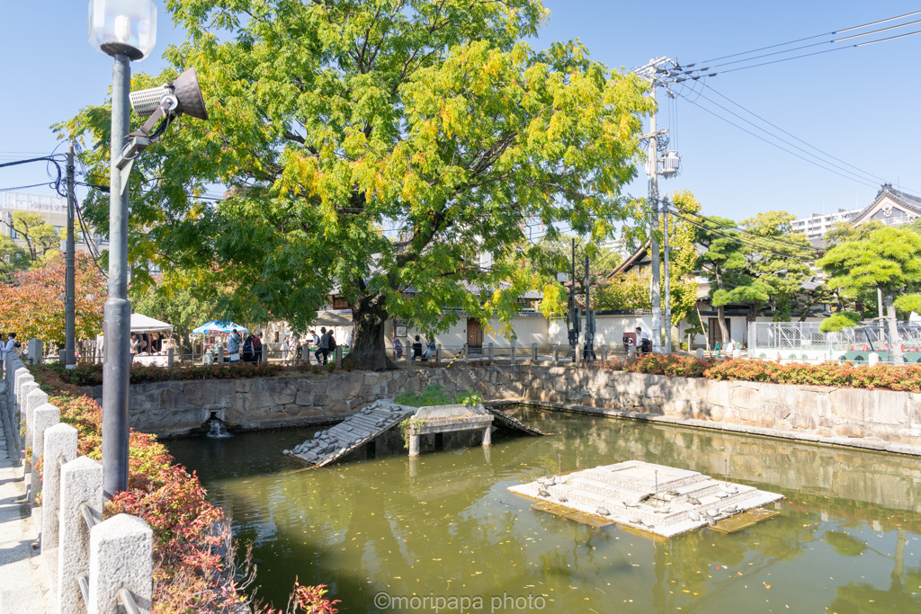 天王寺の池。