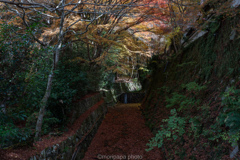 大原の秋、津川。