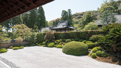 一休寺、方丈庭園。