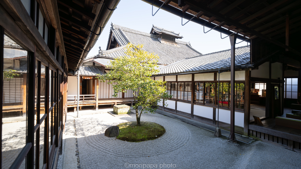 春の建仁寺。