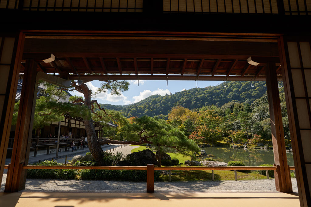 天龍寺の庭園。