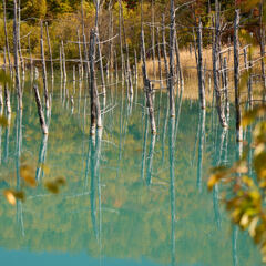秋の青い池。