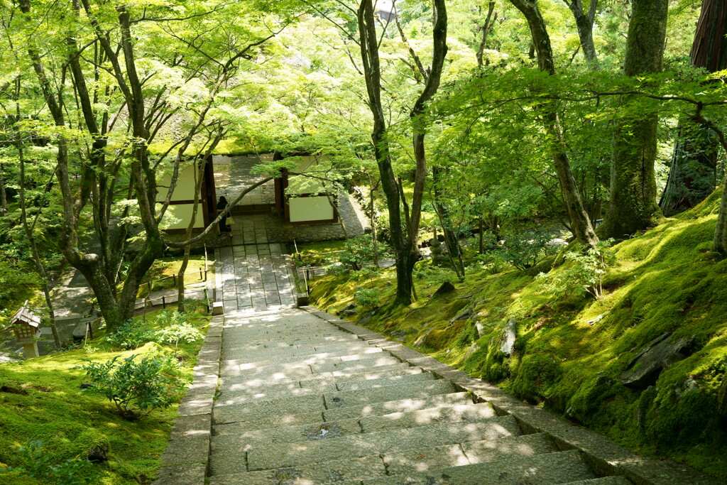 常寂光寺の仁王門