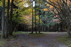 延暦寺の境内。