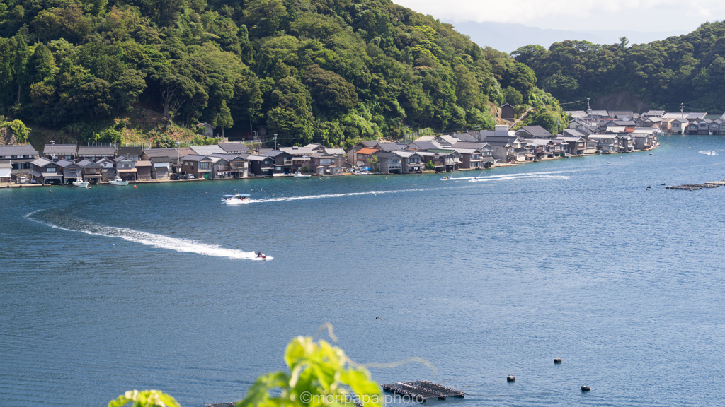 夏の伊根町。