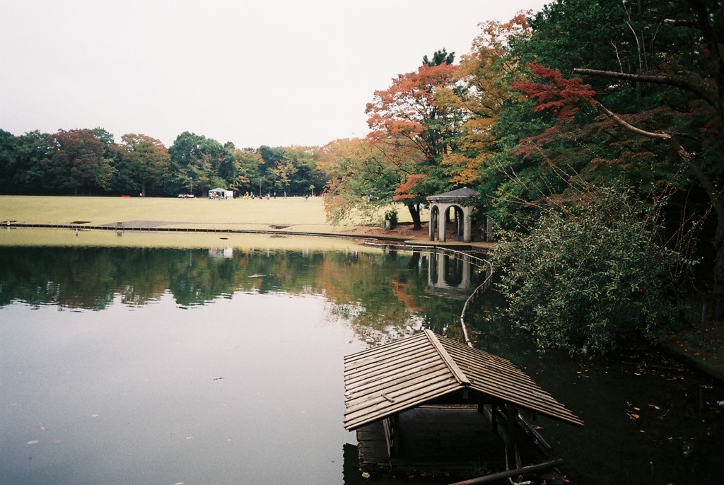 秋の公園