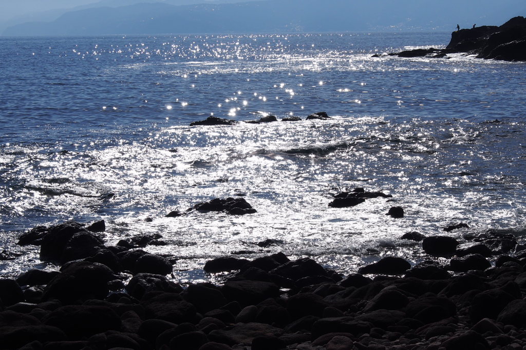 海